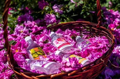 Die 6 besten Bio Naturkosmetikprodukte (Wirkung und Anwendung).