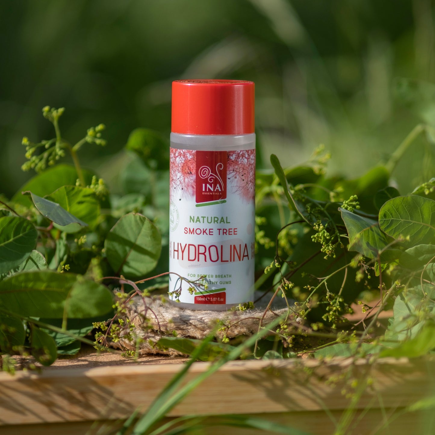 Mundwasser Perückenstrauch Wasser - Hydrolina - für Zahnfleischbluten und Mundgeruch