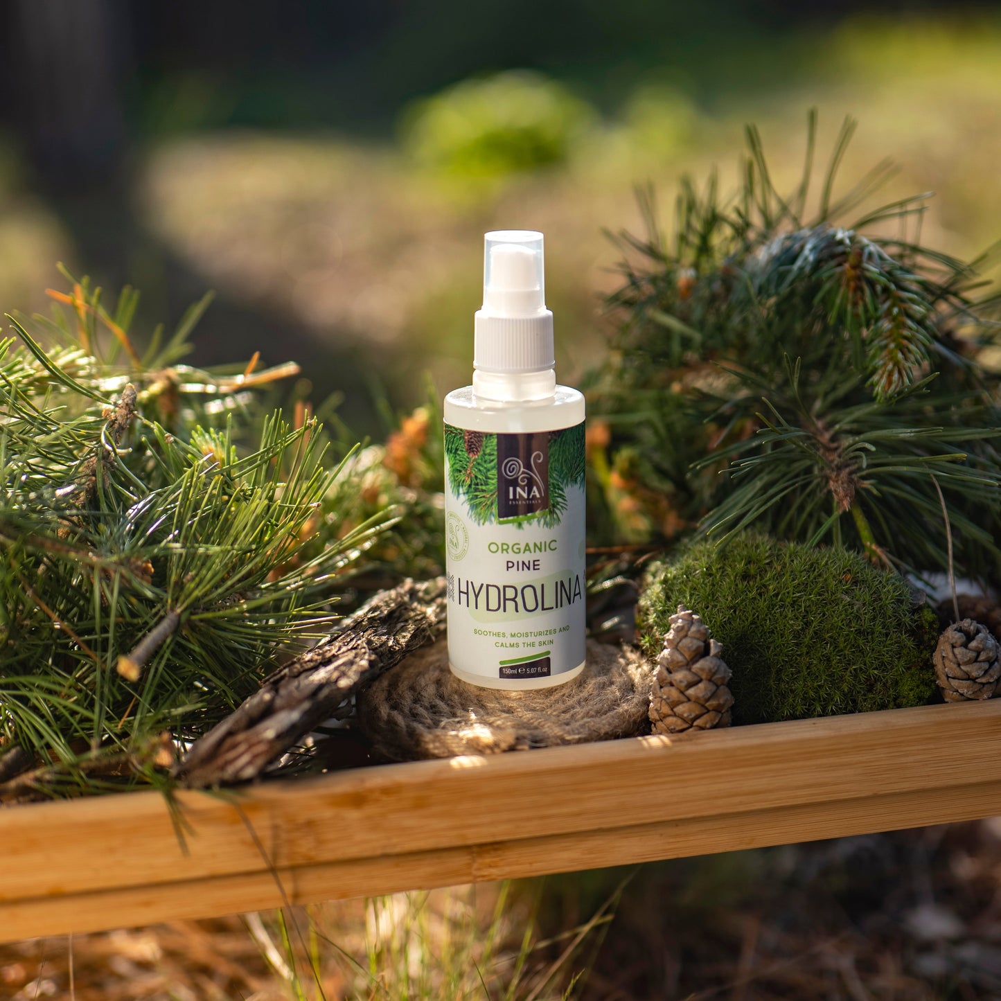+ Geschenk Bio Waldkieferwasser - Hydrolina - Spray für Nagelpilz und stinkende Füße