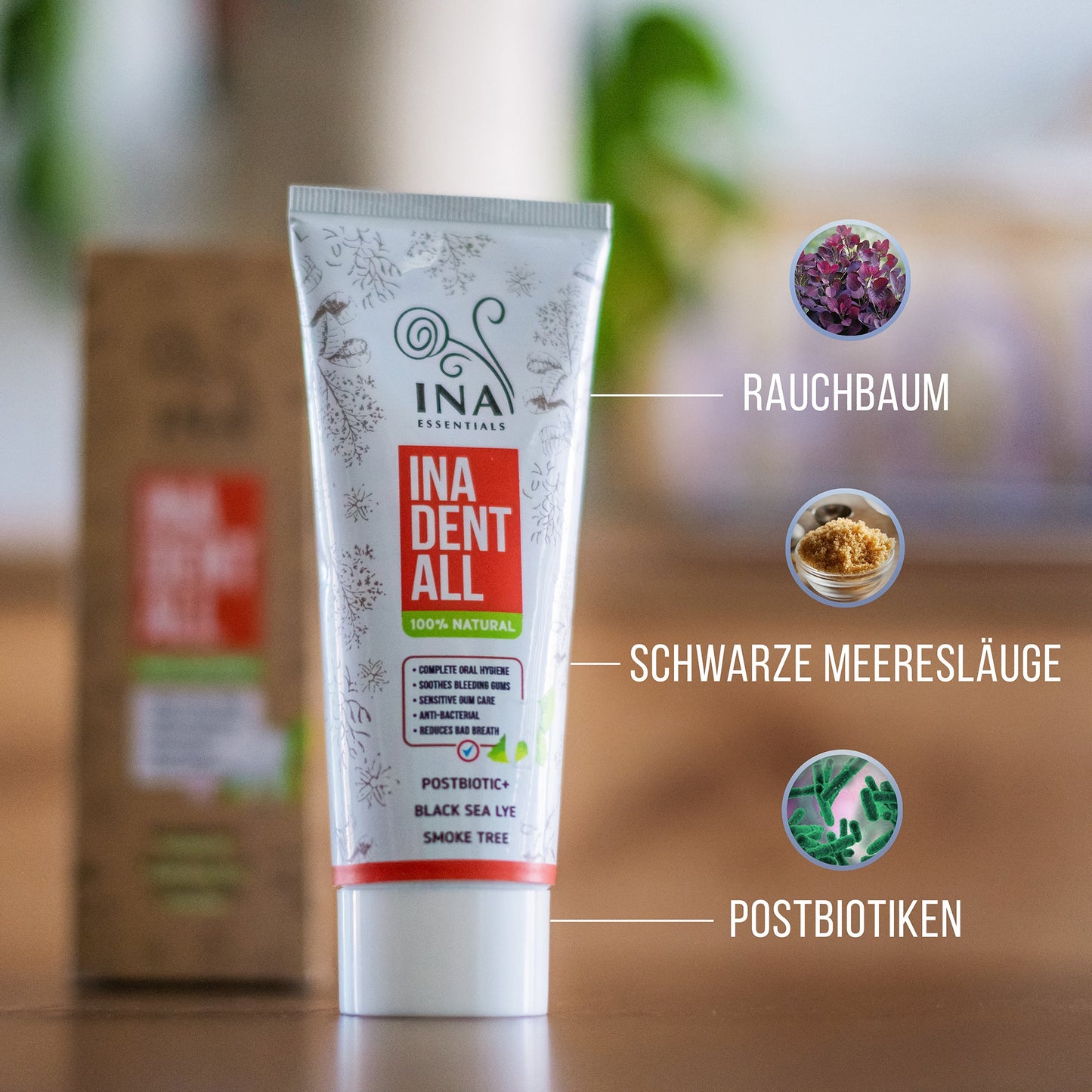 Kaufen Sie 3 Ina Dent-All Zahnpasten, erhalten Sie 1 Mundwasser Perückenstrauch Gratis
